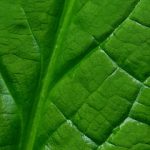 如何在博猫娱乐平台官网上获取最佳游戏体验 0k19g8