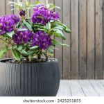 玩转大宝娱乐LG游戏,畅享刺激与挑战的完美结合 416l6p7