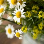 畅享博猫娱乐官网:带你体验极致游戏乐趣与精彩活动 u5qtfb